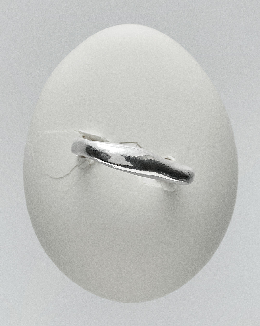 Anillo N003