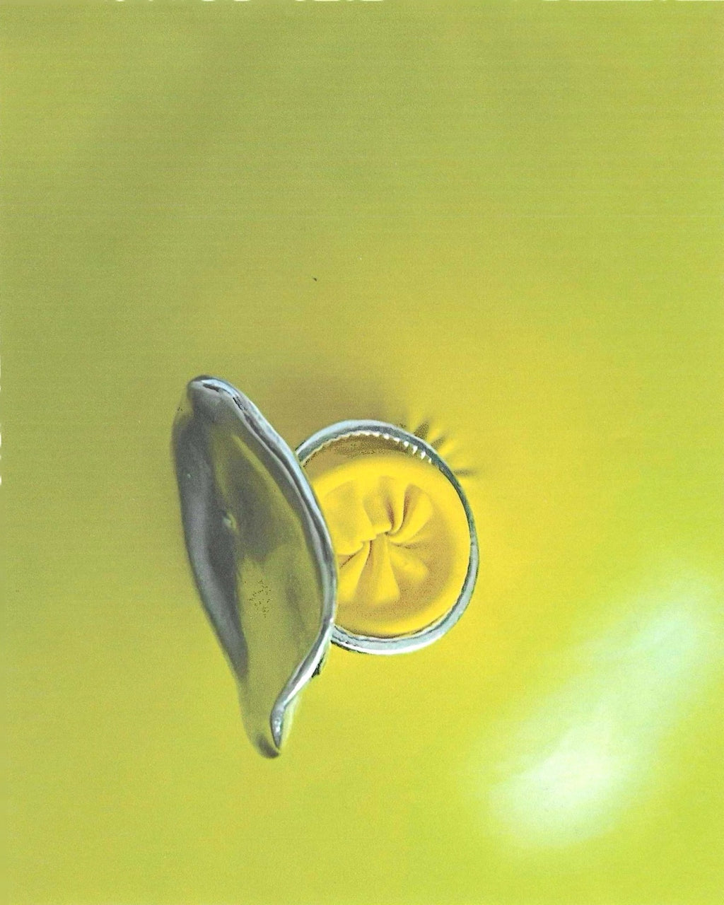 Anillo N008