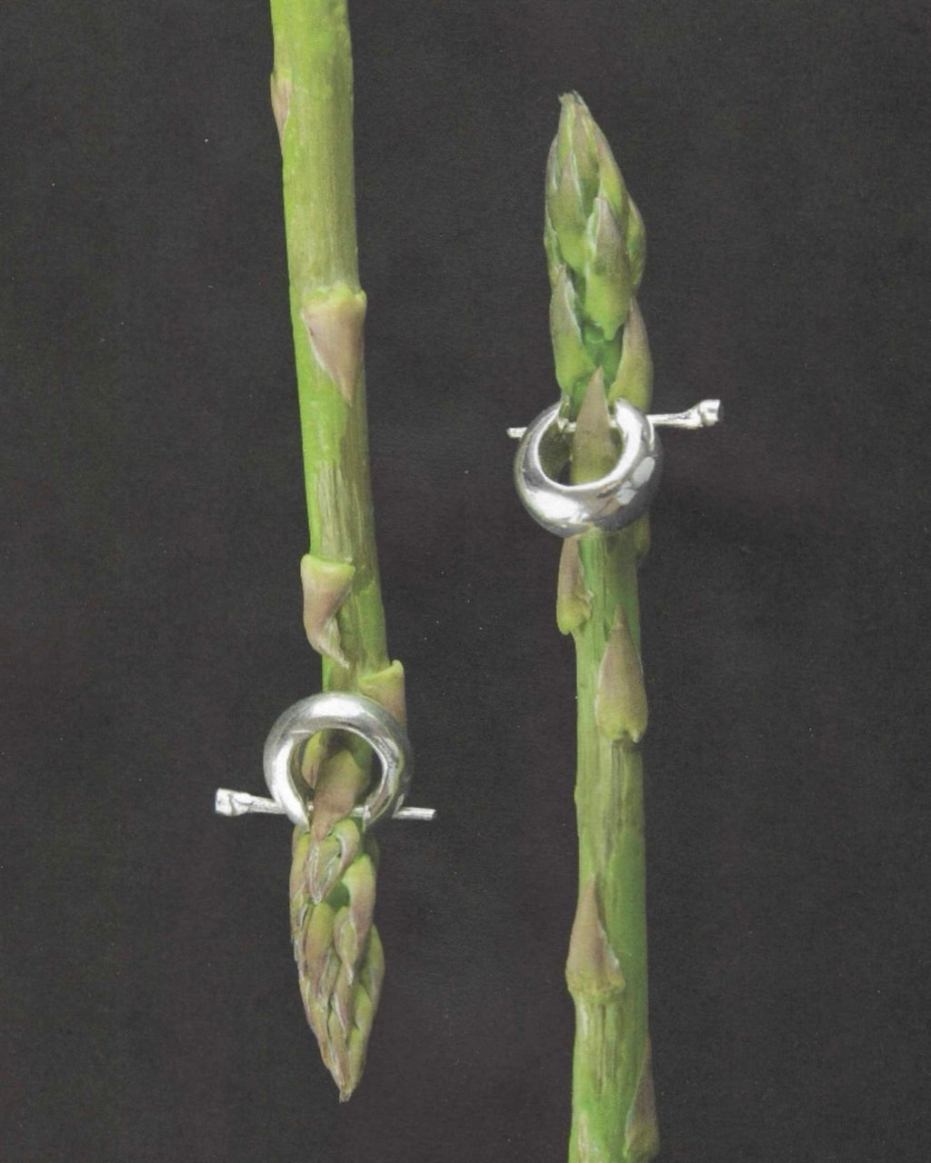 Pendientes N100