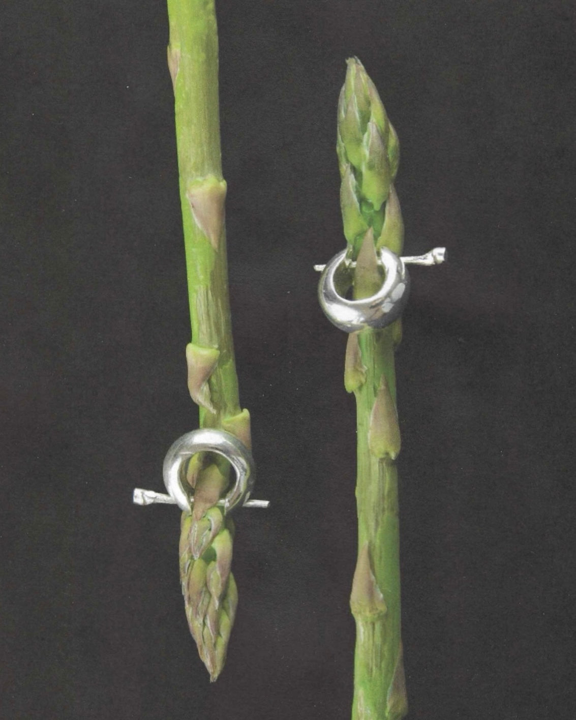 Pendientes N100